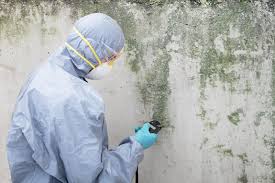 Best Real Estate Mold Inspection  in Cheswold, DE